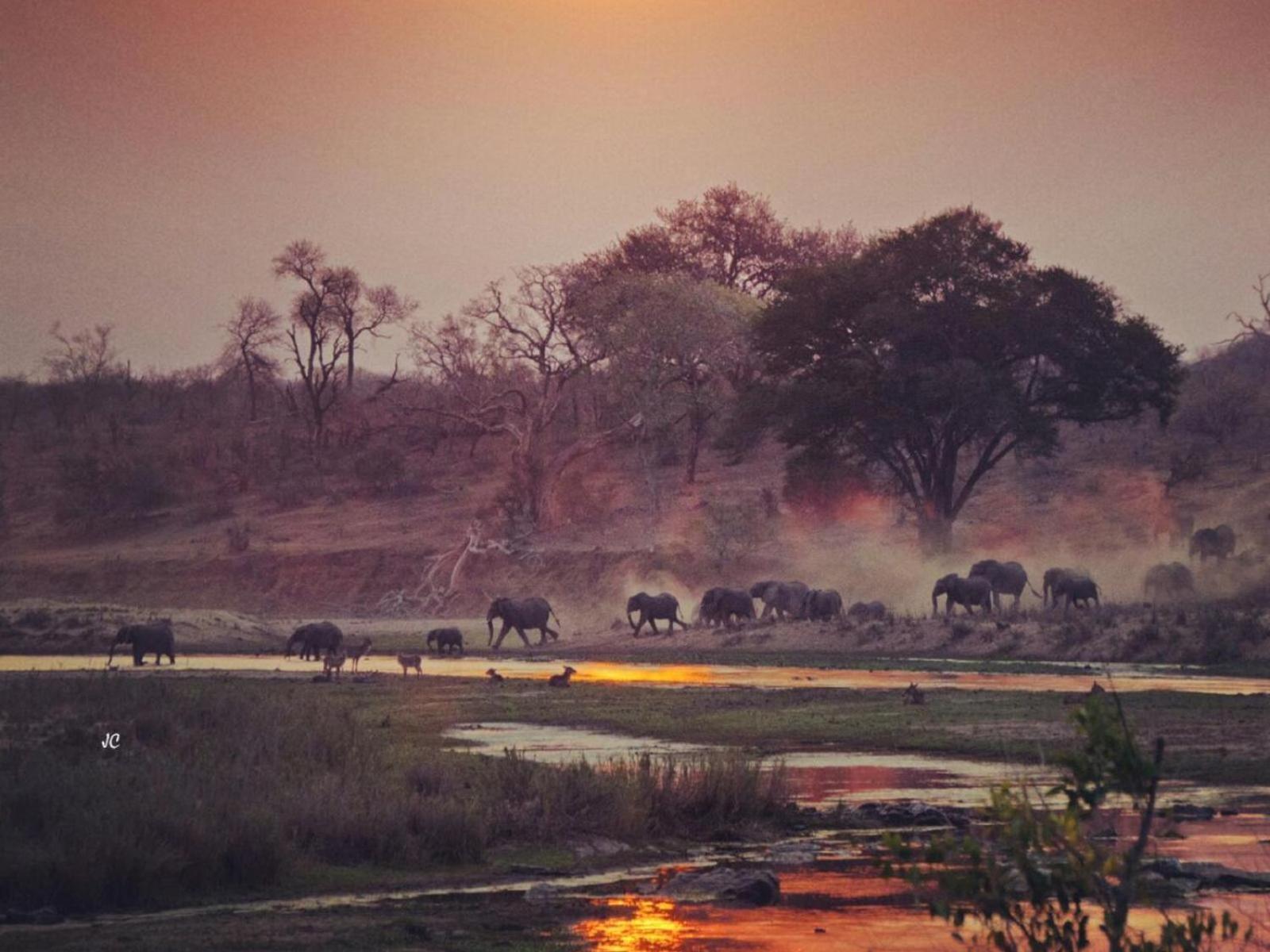 Croc Orvyll'S Kruger Lodge Marloth Park Exterior photo